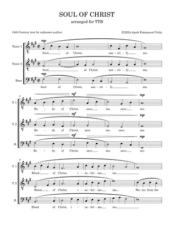 Soul of Christ for TTB